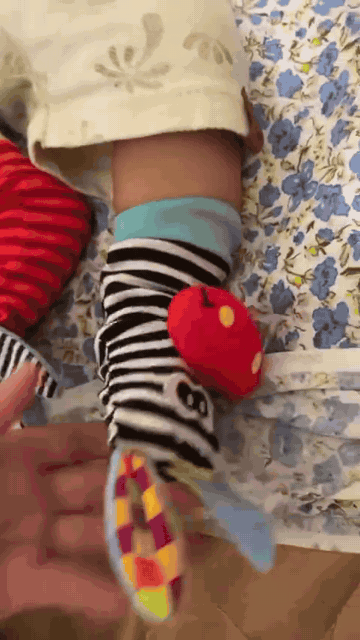 meia-chocalho-copy-1.gif